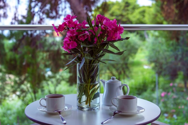 Family Room 1 Bedroom