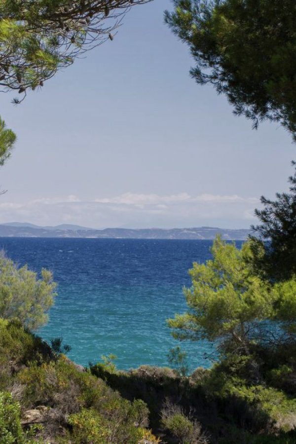 Discover Halkidiki